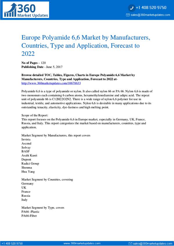 Europe-Polyamide-6-6-Market-by-Manufacturers-Count