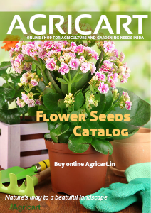 Agricart seed catalog oct 2012