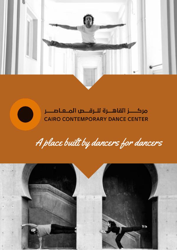 CCDC Presentation - December 2017 A place built by dancers for dancers-16