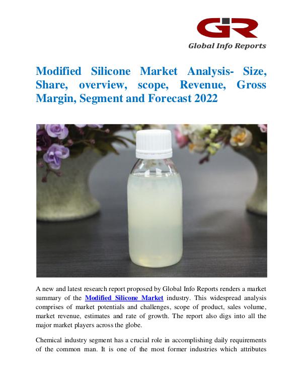 Modified Silicone Market