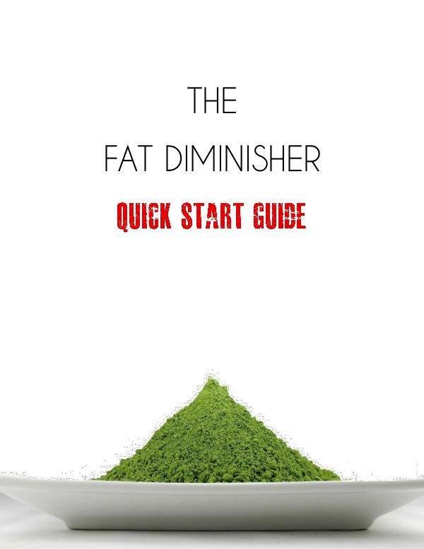 Fat Diminisher PDF / System Is Wesley Virgin's Diet Food List Work?