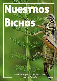 Nuestros Bichos