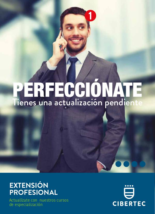 Extensión Profesional brochure extension