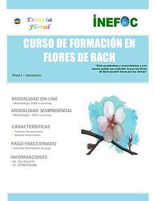 CURSO DE FLORES BACH NIVEL 1