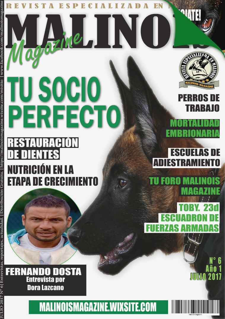 MALINOIS MAGAZINE Malinois Magazine N 6 Julio 2017