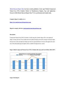 Market Research Report Store 