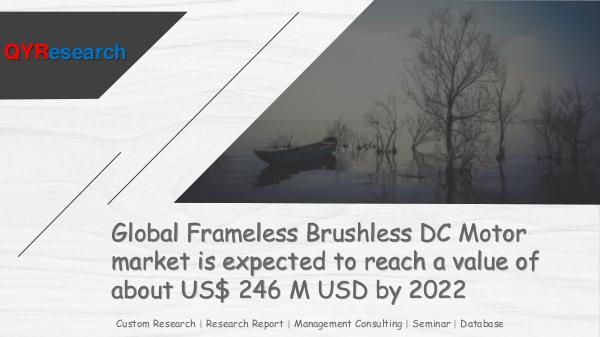 Global Frameless Brushless DC Motor market