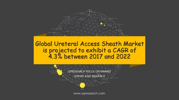 QYR Market Research Ureteral Access Sheath Market Research Report