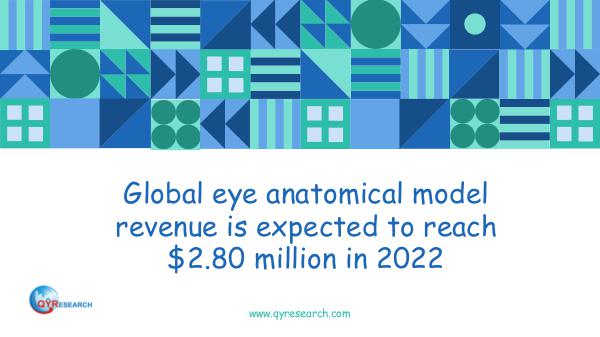 QYR Market Research Global eye anatomical model market research