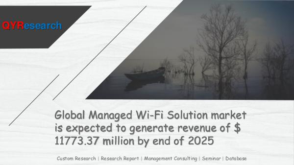 QYR Market Research Global Managed Wi-Fi Solution market research