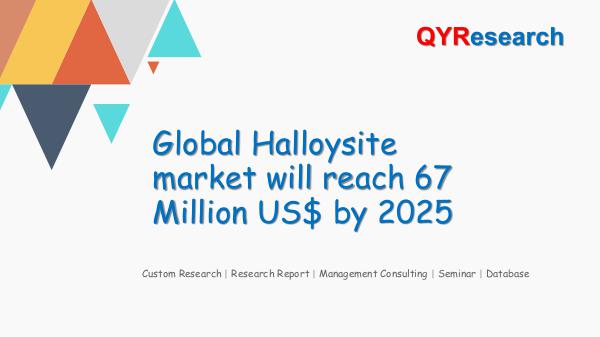 QYR Market Research Global Halloysite market research