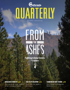 Calforests Quarterly 2013 November 2013