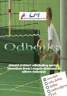 Volleyball and school program