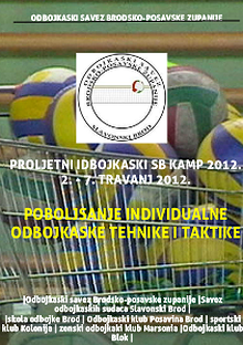 Volleyball and school program