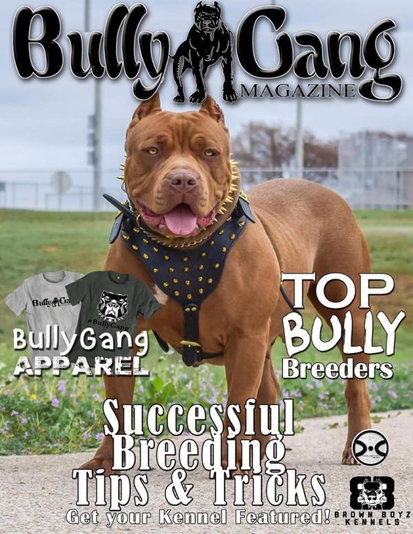 Bully Gang Magazine Edition 1