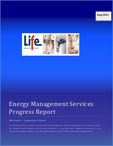 Life Healthcare Savings Report - August 2013 1