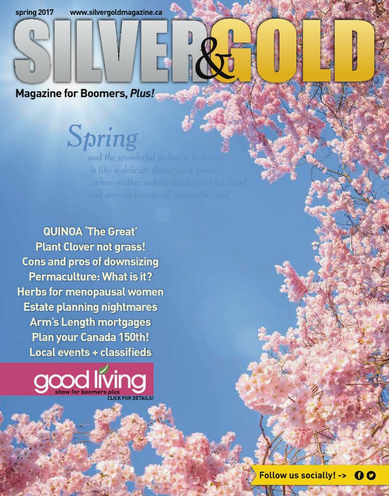 Silver and Gold Magazine Spring 2017