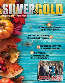 Silver and Gold Magazine