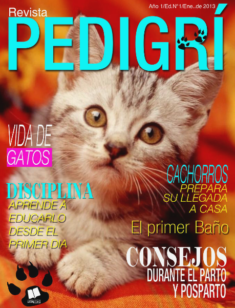 Edición N° 1