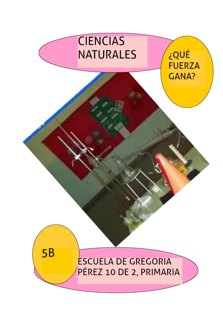 Experiencias directas de 5B, escuela 10 de 2, 2017 LA FUERZA GRAVITATORIA CIENCIAS NATURALES