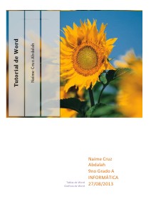 Tutorial de tablas y gráficos de Word tutorial