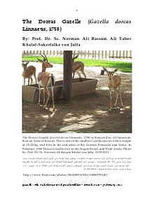 Gazelle : The Palestinian Biological Bulletin (ISSN 0178 – 6288)