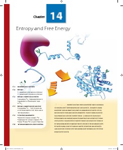 Burdge/Overby, Chemistry: Atoms First, 2e Ch14