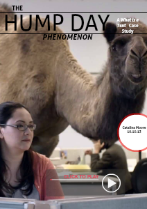 The Hump Day Phenomenon Case Study Presentation