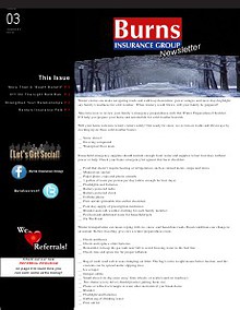 Burns Insurance Group Newsletter