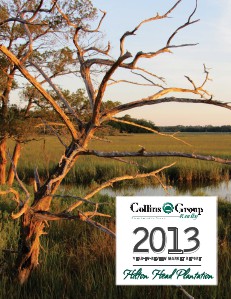 2013 Hilton Head Plantation Year-in-Review Market Report Jan, 2014