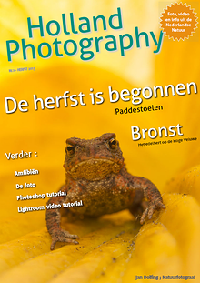 Dutch Nature Photography