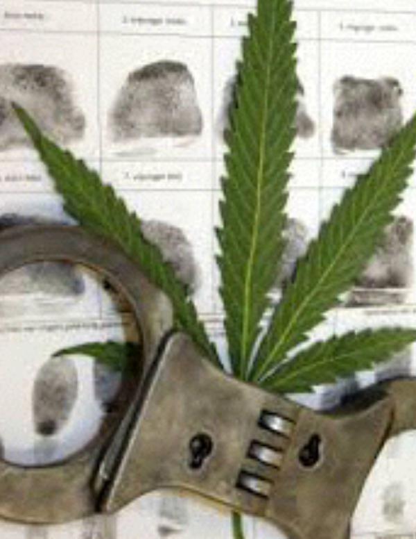 My first Magazine Final Draft Multimodal Project 4