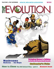 The EVOLUTION Magazine