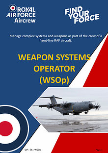 Weapons Systems Operator (WSOp)