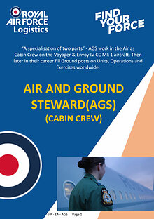 Air and Ground Steward