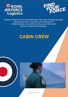 Cabin Crew