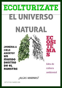 REVISTA