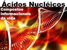 Ácidos Nucléicos - Replicação - Transcrição - Tradução