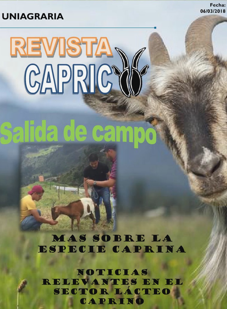 Mi primera revista Revista Caprico