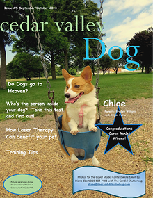 Cedar Valley Dog