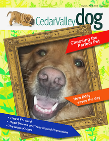 Cedar Valley Dog