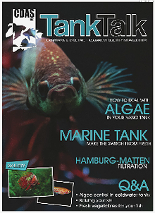 Tank Talk Magazine