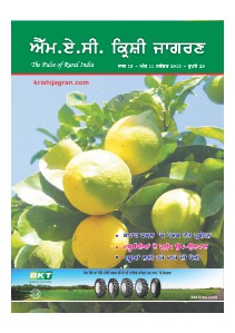 MAC KRISHI JAGRAN (Punjabi) NOVEMBER 2013