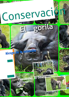 Conservaciòn