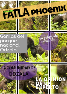 FATLA CYGNUS MFLORES