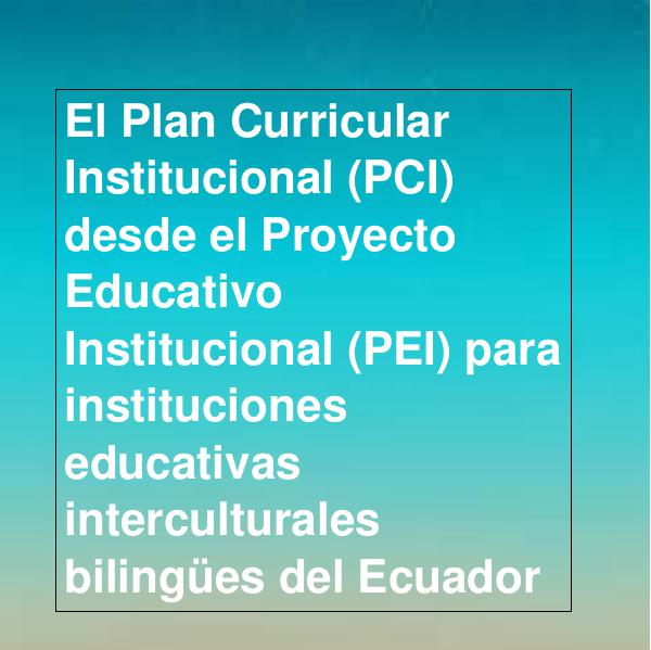 El PCI desde el PEI IB versión Preliminar PCI desde el PEI IB Version Preliminar