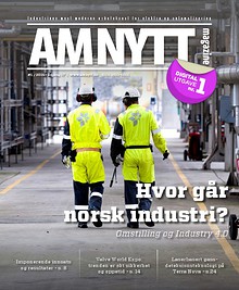 AMNYTT