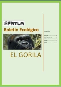 articulo_ecologico_salvando_al_gorila por elizabeth 1 de 2013