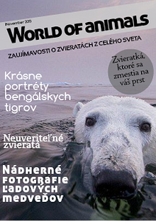 World of animals