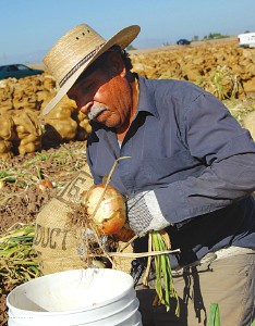 Ending Hunger in America, 2014 Hunger Report Conclusion